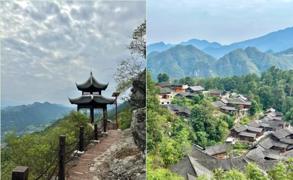 屏幕截图 2025-01-14 095836.png