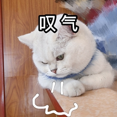 1737085675341041.png 32.png