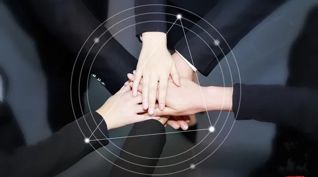 1738760534615981.jpg 5.jpg