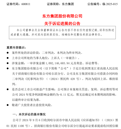 1739605661951848.png 东方集团.png