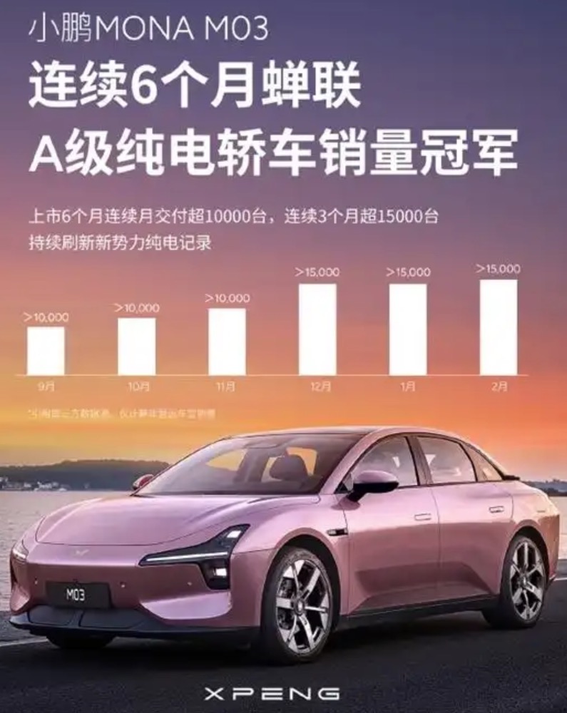 1742991201153843.jpg 2.jpg