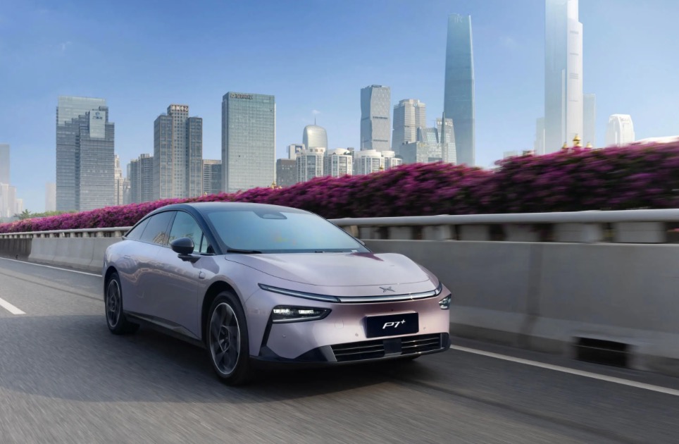 1742991206710354.jpg 3.jpg