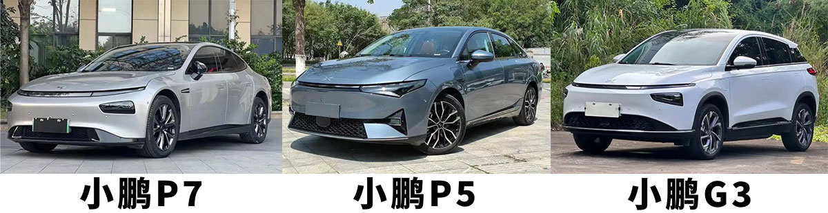 1742991260395669.jpg 5.jpg