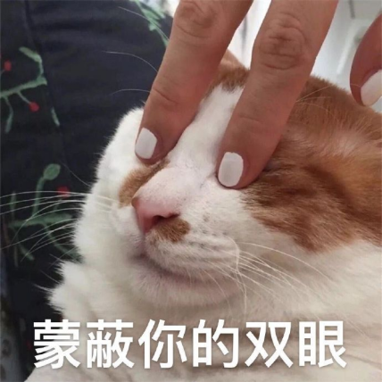 31.png