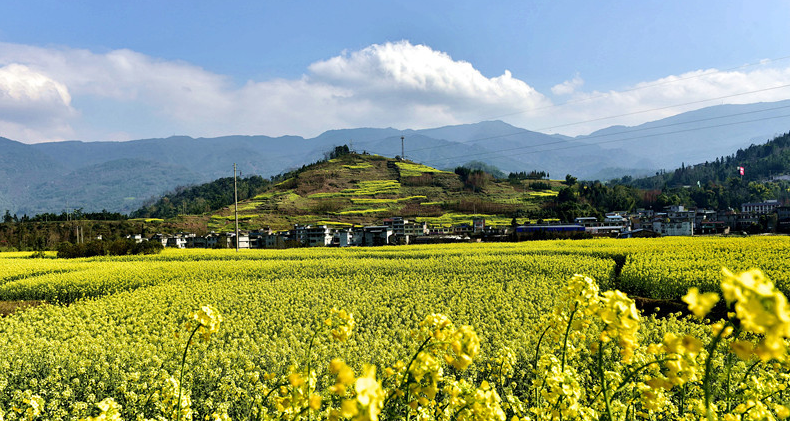 1744791385500662.png 微信图片_20250325112753.png