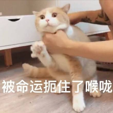 1745544598784133.png 21.png