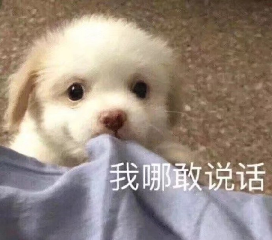 1749182055208365.png 21.png