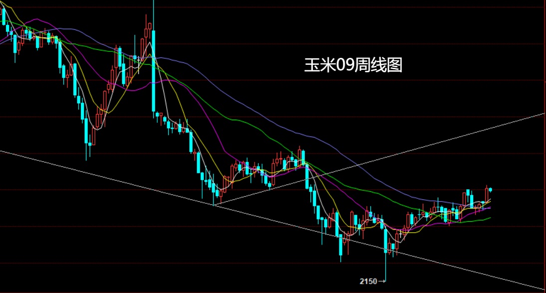 1749948534566810.jpg 玉米.jpg