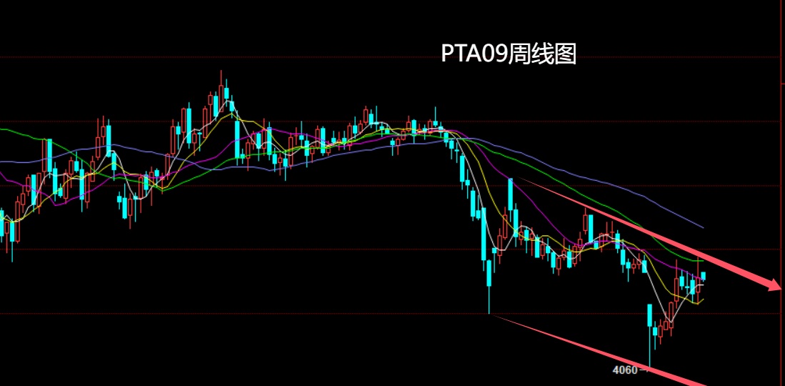 1749951660332928.jpg PTA.jpg