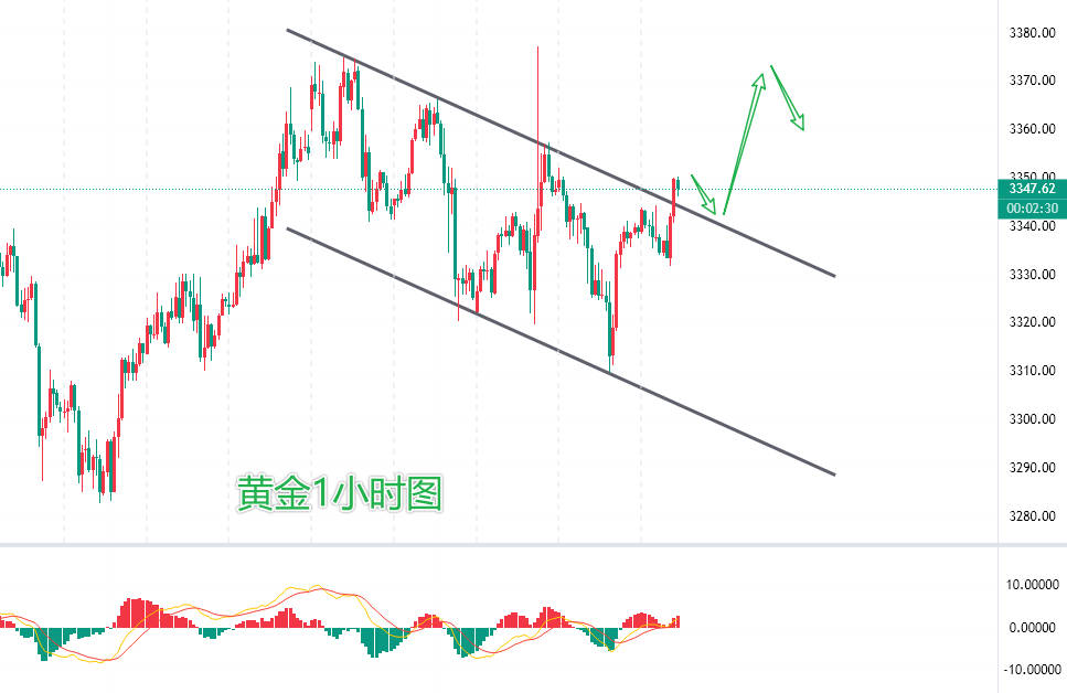 1752829232147524.jpg 1.jpg