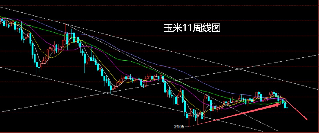 1754108776234663.jpg 玉米.jpg