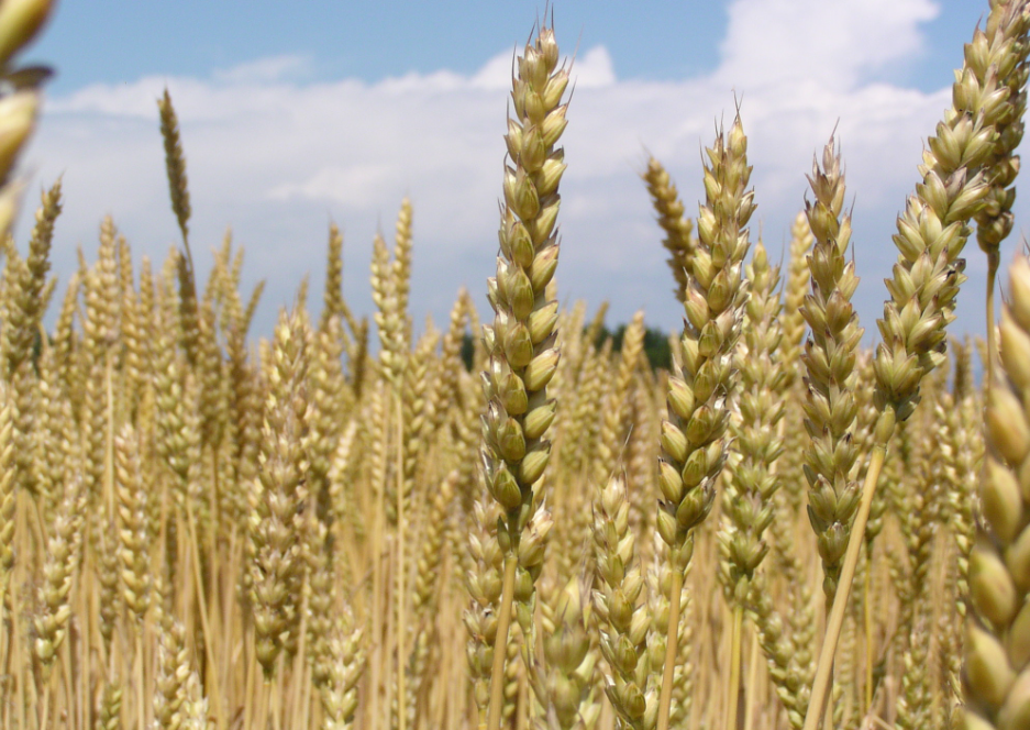 1755523705893009.png 6788f965-b4a7-429e-8b6d-4b3145c64f25.png