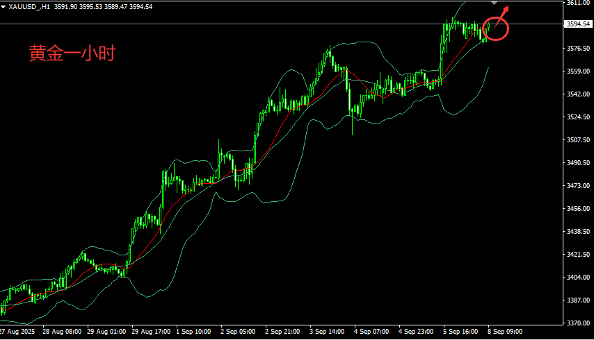 1757314065223331.png 01.png