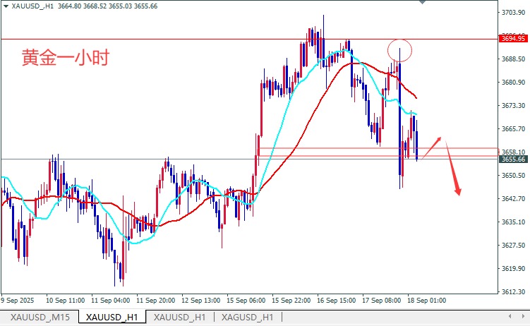 1758158416284851.jpg 03.jpg