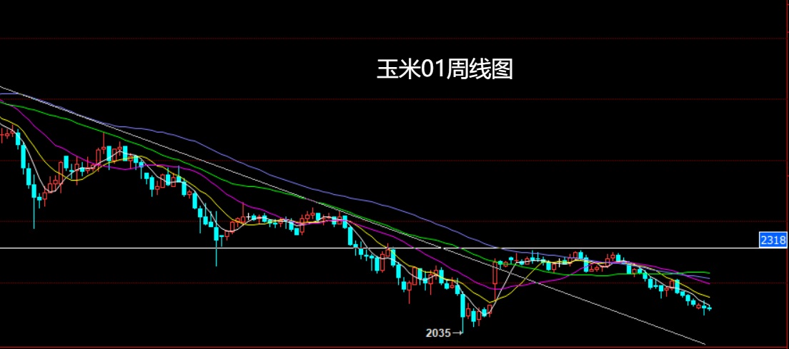 1760754248101597.jpg 玉米.jpg