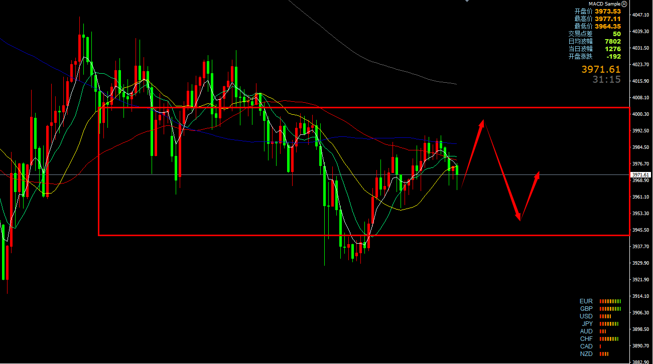 1762392701975951.png 1.png