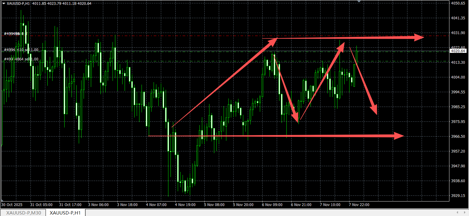 1762736007472009.png 096d9335f5fb67454fe3b11633d94ec1.png