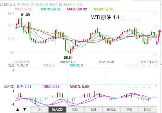 1762819023261993.png oil.png