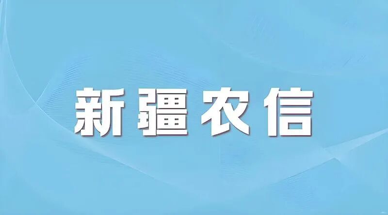 1762827555872507.jpg 640 (1).jpg