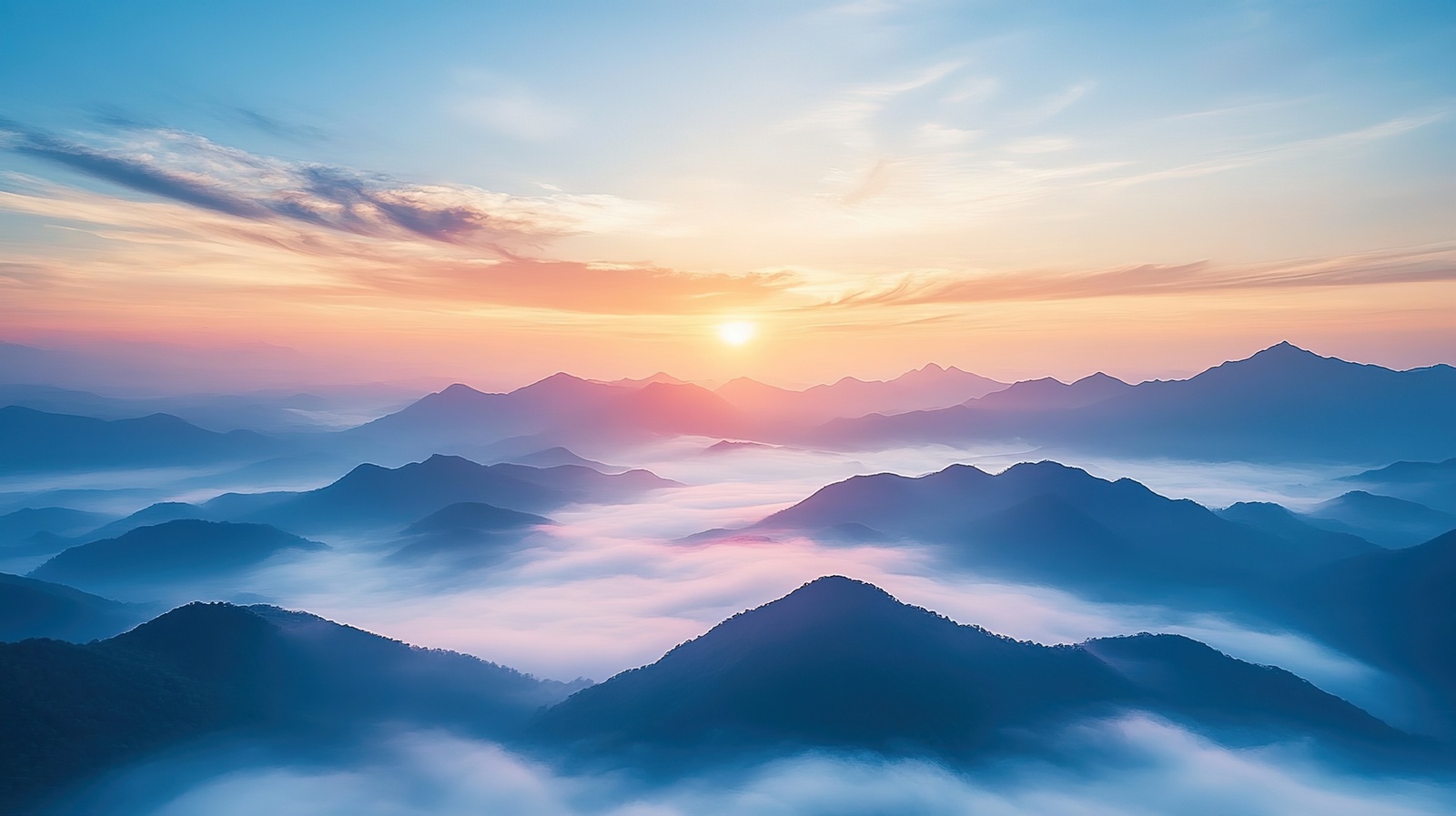 1763023919841406.jpg 中期02S.jpg