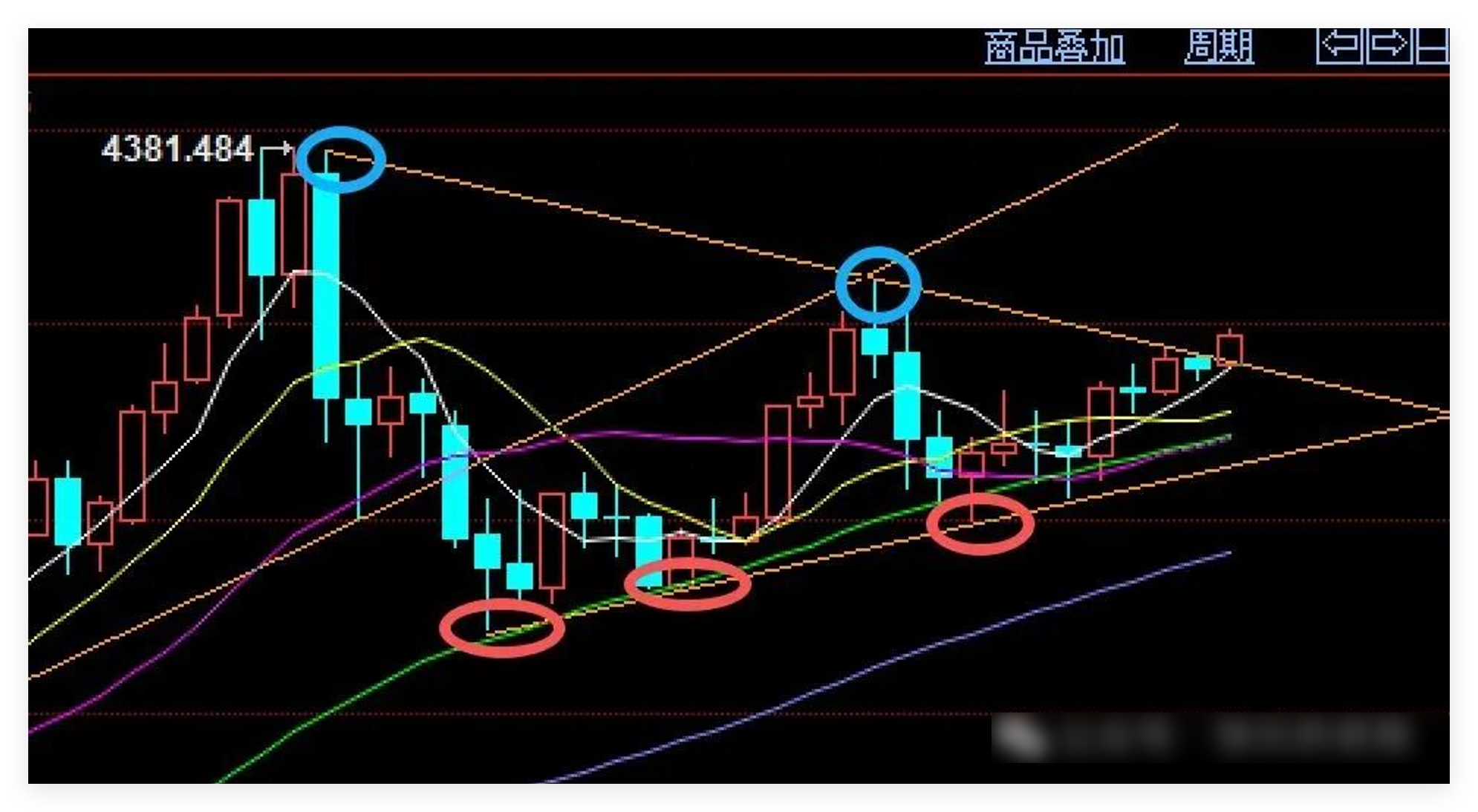 1764312153932875.png 周五黄金日线图.png