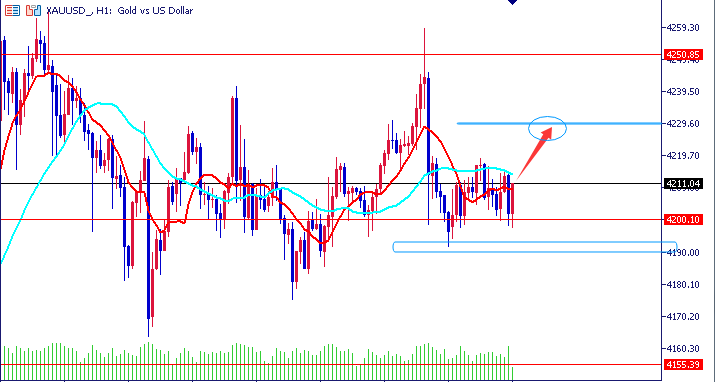 1765204332703959.png 01.png