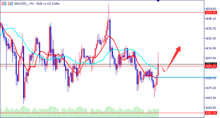 1765274326401931.png 01.png