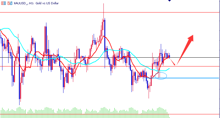 1765325732480784.png 01.png