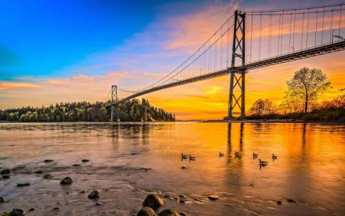 1765328173459347.jpg u=905991721,809302691&fm=26&gp=0.jpg