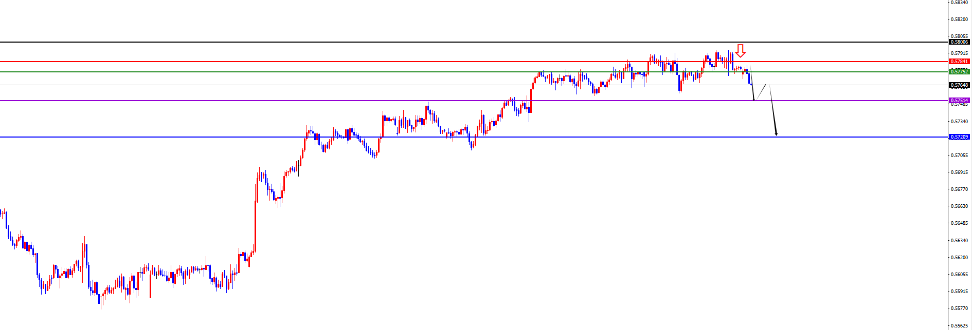 1765335677558797.png 纽美.png