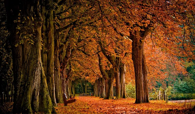 1765354571189828.png 微信图片_20251121211058_25_229.png