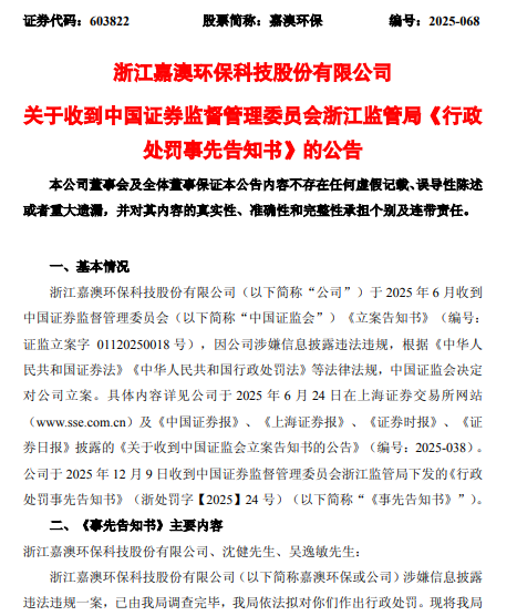 1765420522871189.png 嘉澳环保 处罚告知书.png