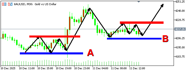 1765456084621139.png 1451.png