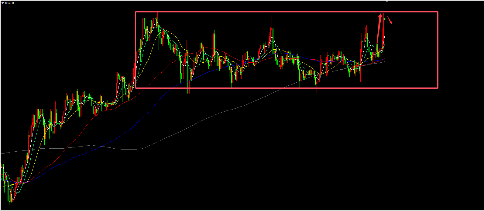 1765469432892825.png 1.png