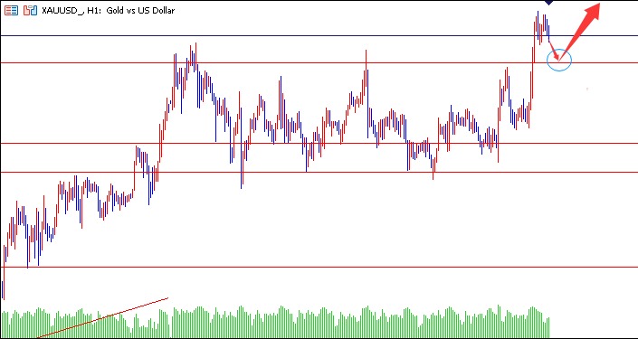 1765503886312570.jpg 02.jpg