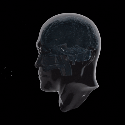 1765505043351577.png 3.png