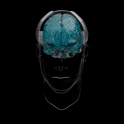 1765505049599044.png 4png.png