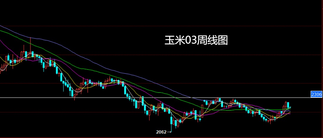 1765585320991440.jpg 玉米.jpg