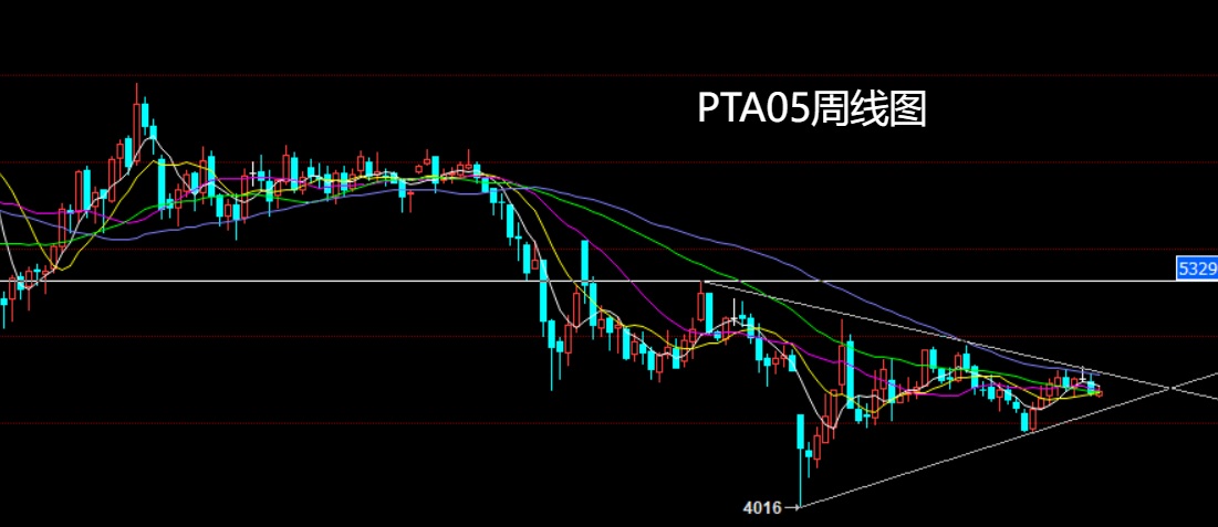 1765590629506780.jpg PTA.jpg