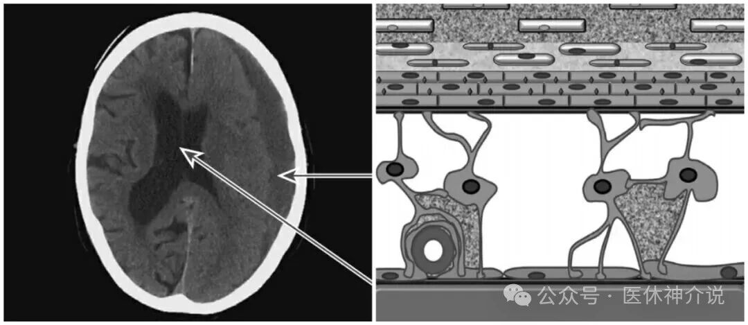 1765697884621571.jpg 美敦力3.jpg