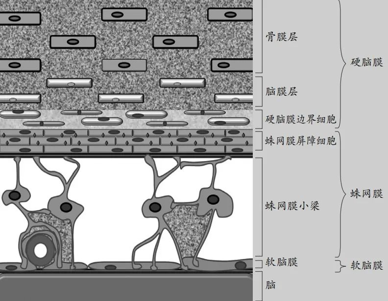 1765697891117087.jpg 美敦力4.jpg