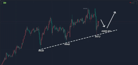 1766982533332795.png 1111.png