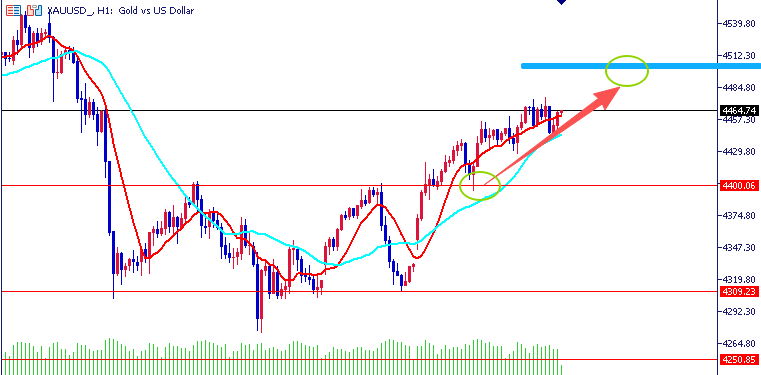 1767702267373268.png 01.png