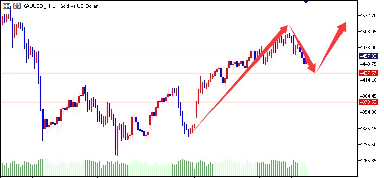 1767771973193622.jpg 01.jpg