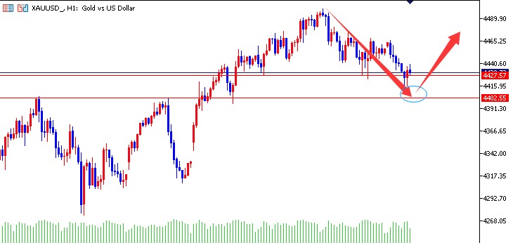 1767858900533068.jpg 01.jpg