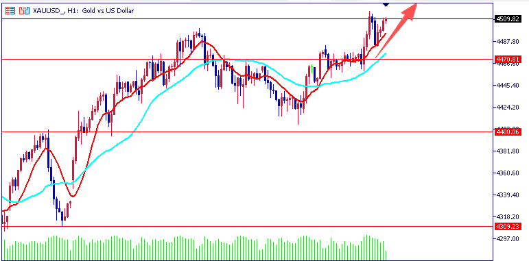 1768101675492374.png 01.png