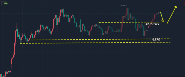 1768363720203125.png 1111.png