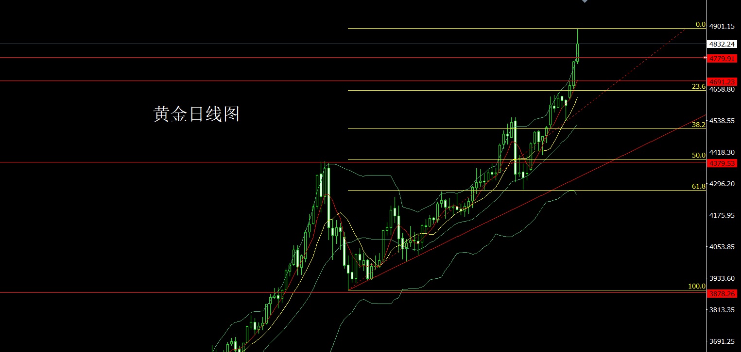 1769035711764138.jpg 黄金.jpg