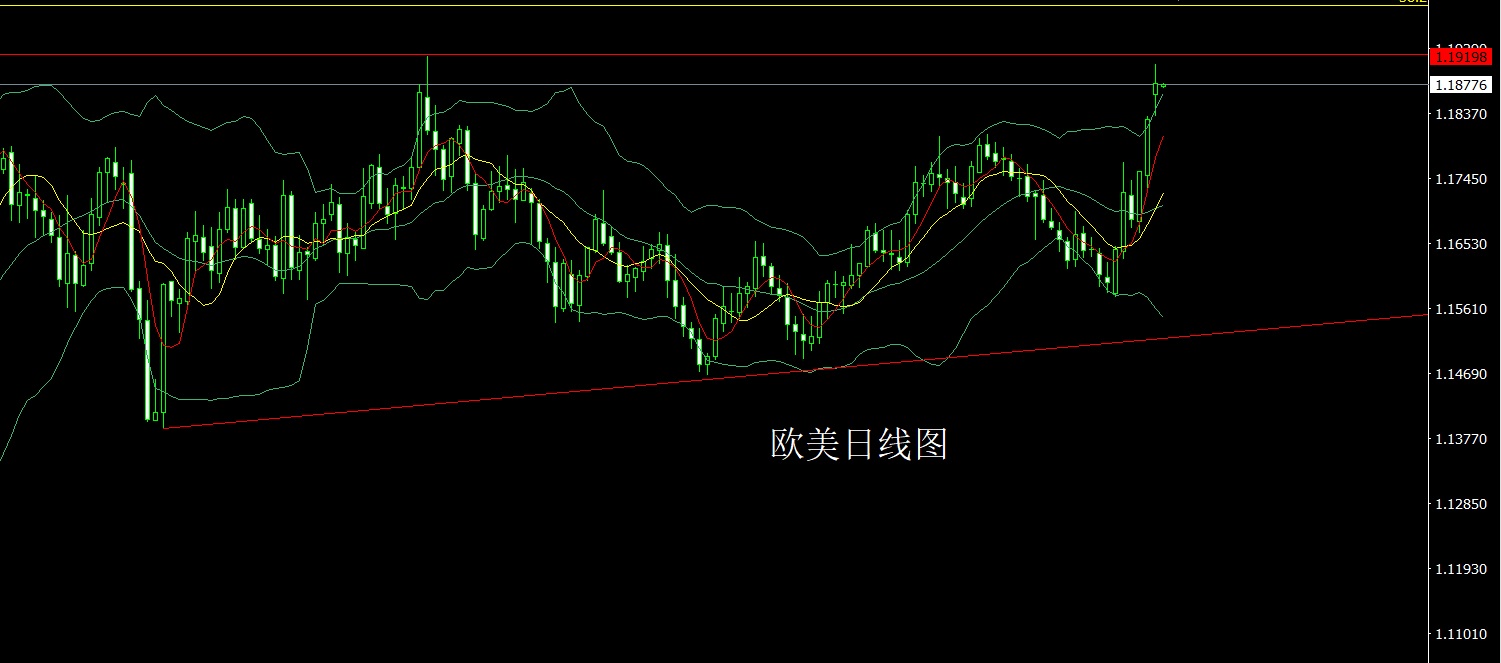 1769466435796445.jpg 欧美.jpg