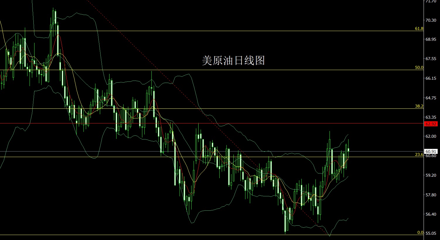 1769466762497895.jpg 美原油.jpg